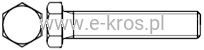 Śruba maszynowa 10x 30 CZ 10.9 op. 100 szt.
